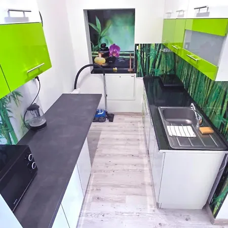 Lägenhet Zabrze, Apartament Zielony *